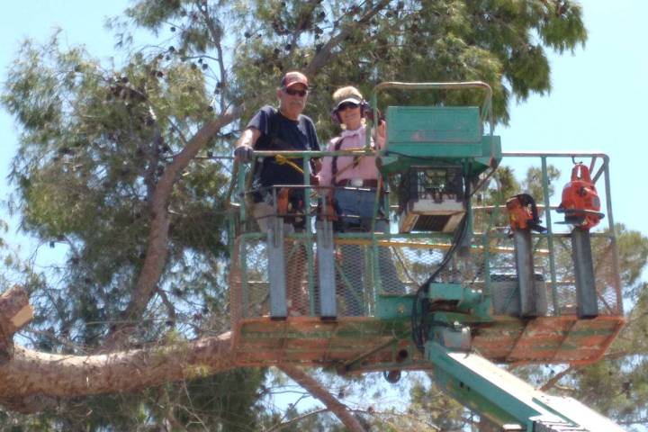 Selwyn Harris/Pahrump Valley Times Enduring triple-digit temperatures, Rob and Laine Brubaker w ...