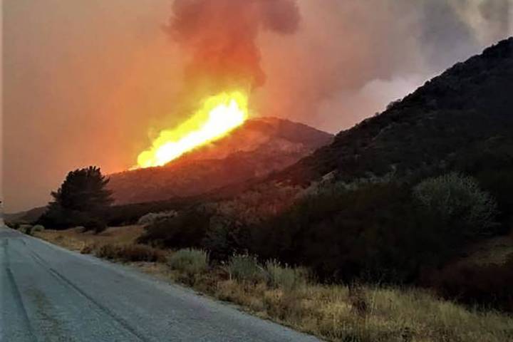 Nevada Divison of Forestry This photo, courtesy of the Nevada Divison of Forestry on Monday, sh ...