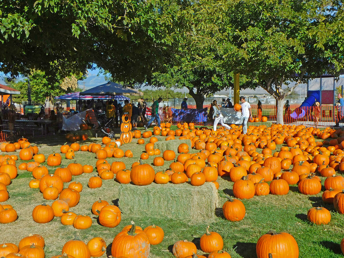 Robin Hebrock/Pahrump Valley Times There were nearly 2,000 pumpkins for patrons to choose from ...