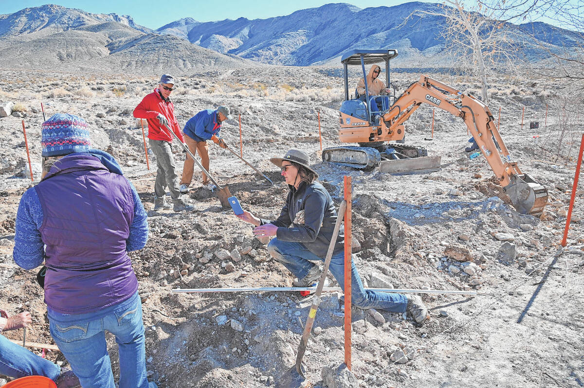 Richard Stephens/Special to the Pahrump Valley Times Volunteers in Nye County managed to plant ...