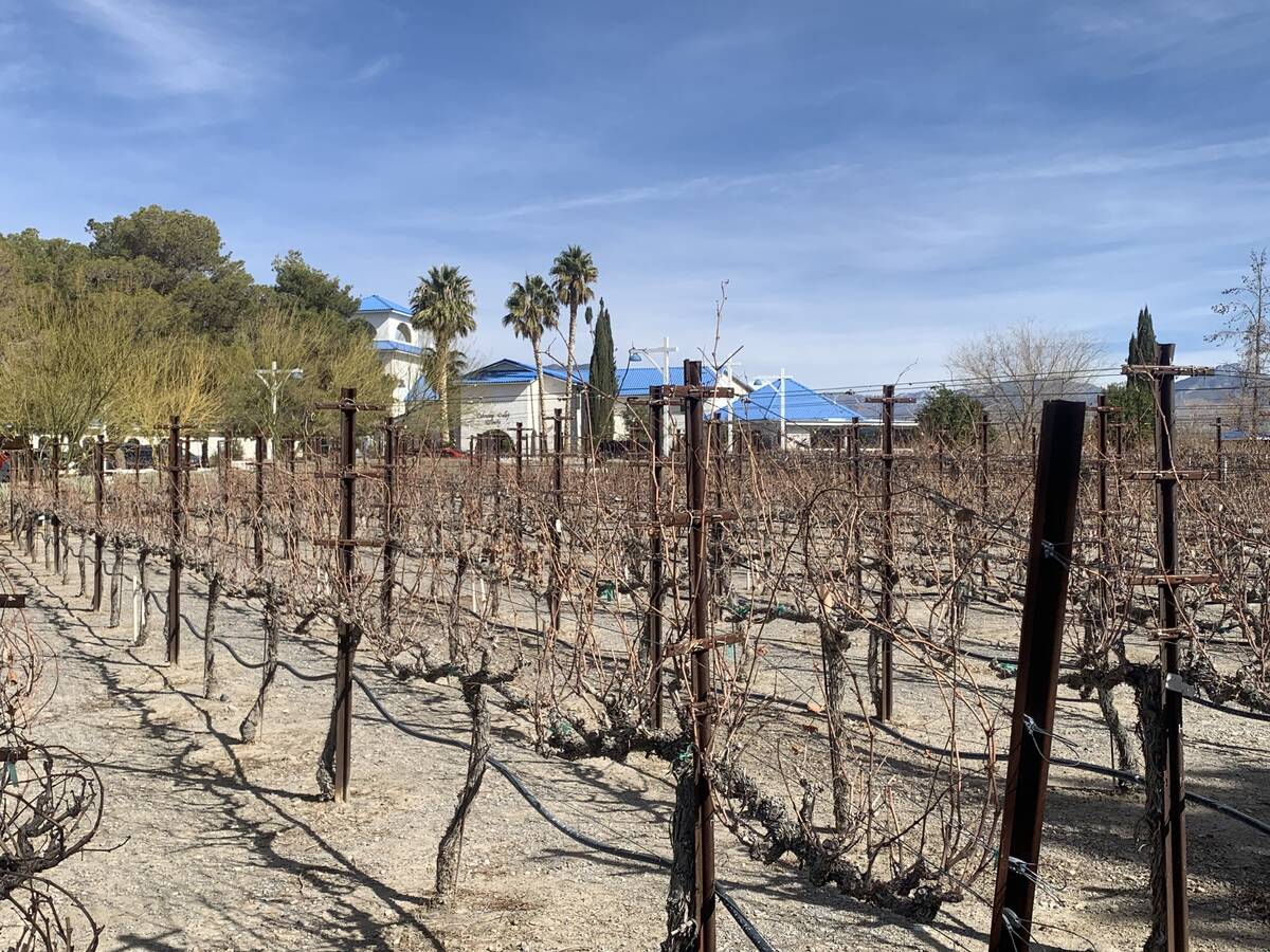Nevada Wine Cellars Inc., which operates the Pahrump Valley Winery at 3810 Winery Road, reporte ...