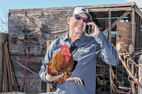 KPVM 25 co-owner Vern Van Winkle, even while holding a rooster, is never far from his phone out ...