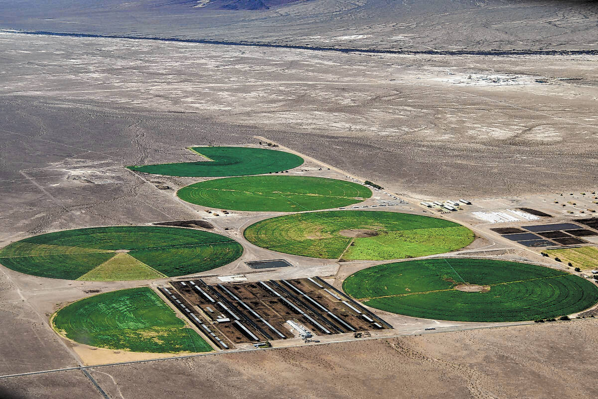 A closer look of the agriculture and dairy farm in the Amargosa Desert that is reliant on the s ...