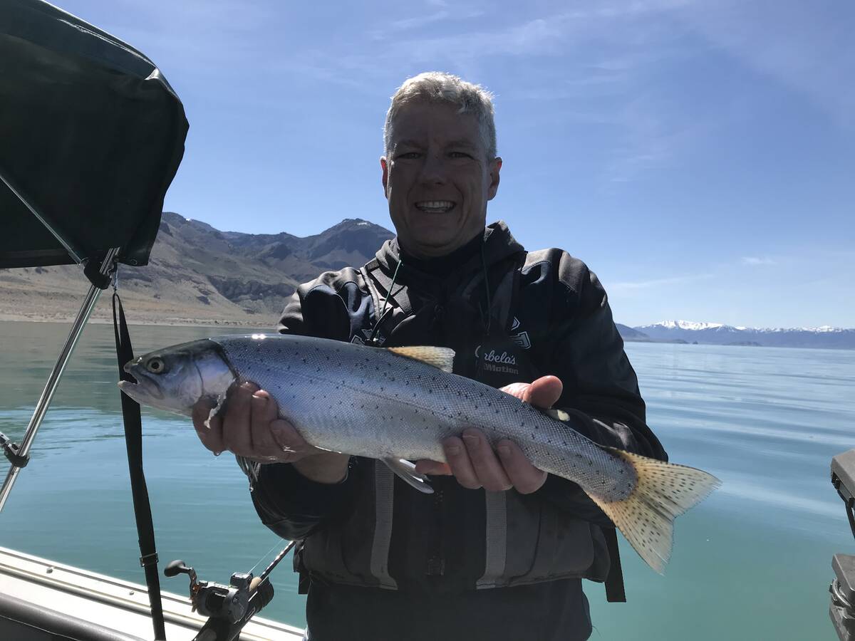 Special to the Pahrump Valley Times Mark Fiorentino with a Pyramid Lake Cutthroat trout he caug ...