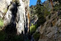 Towering gray cliffs, tall ponderosa pines, abundant wildflowers and plenty of wildlife are par ...