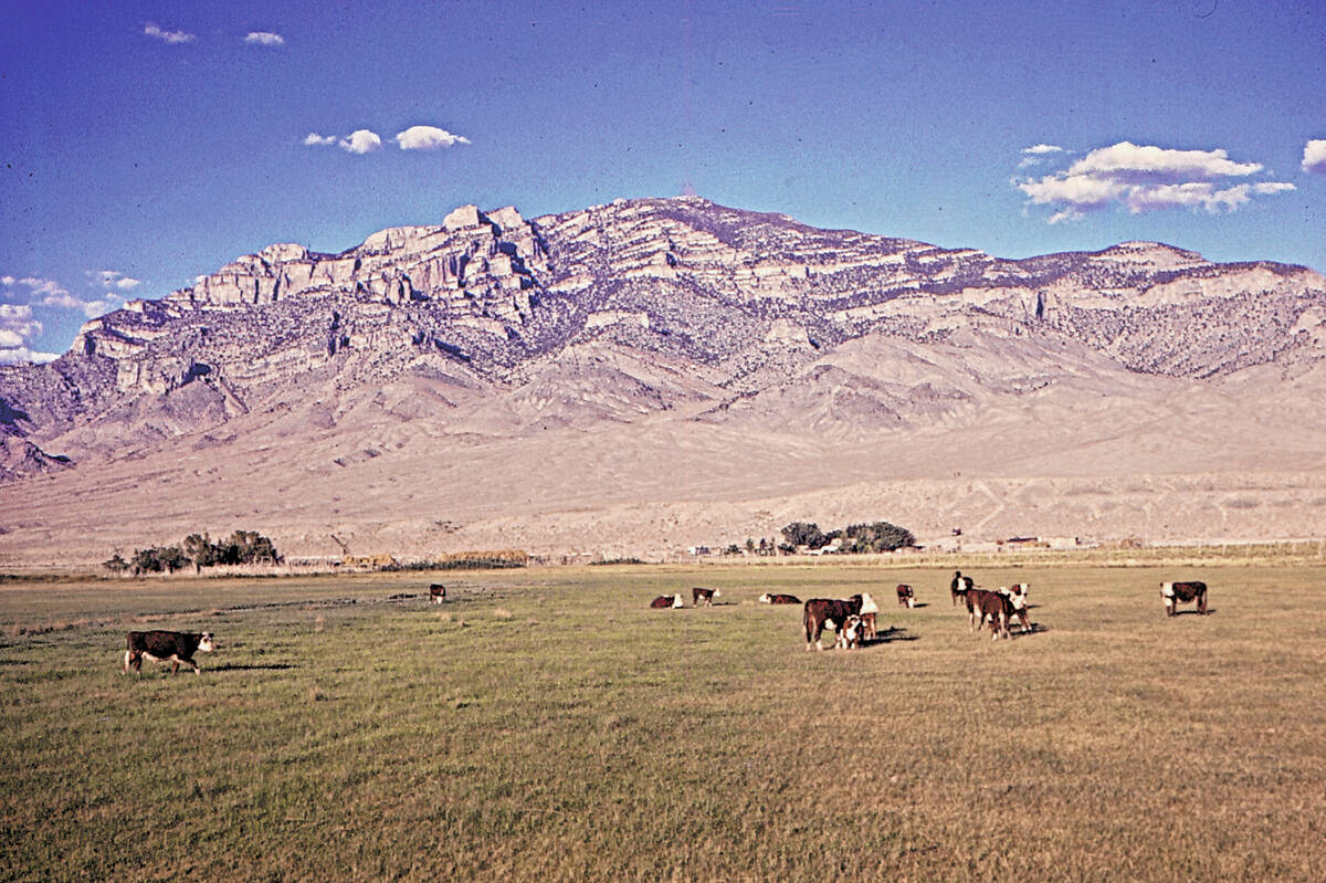Blue Eagle Ranch in 1964, with Blue Eagle Mountain rising in the background. (Jeanne Sharp Howe ...