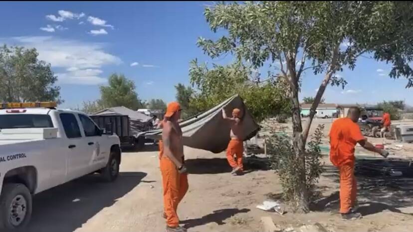 Courtesy KPVM-TV Nye County inmates work to transport hundreds of dogs seized in an Amargosa Va ...