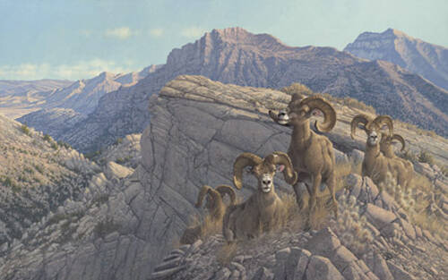 Special to the Pahrump Valley Times The inspiration for hunting artist Michael Sieve's painting ...