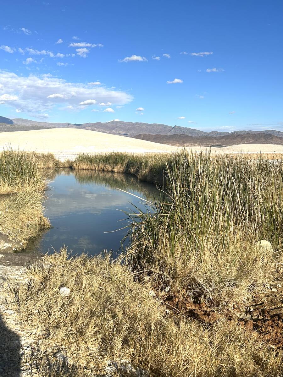 Brent Schanding/Pahrump Valley Times Tecopa Mud Hot Springs in Tecopa, Calif., about 30 miles w ...