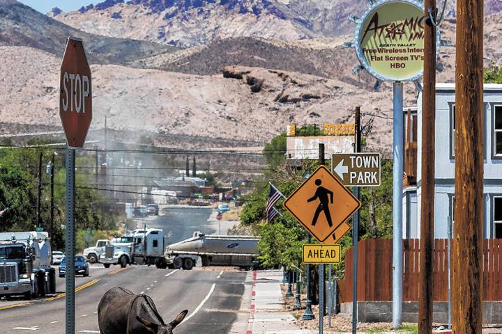 Burros graze nearby as traffic moves along South Second Street on Tuesday, Aug. 2, 2022, in Bea ...