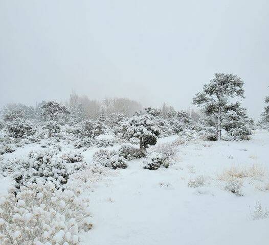 Special to the Pahrump Valley Times