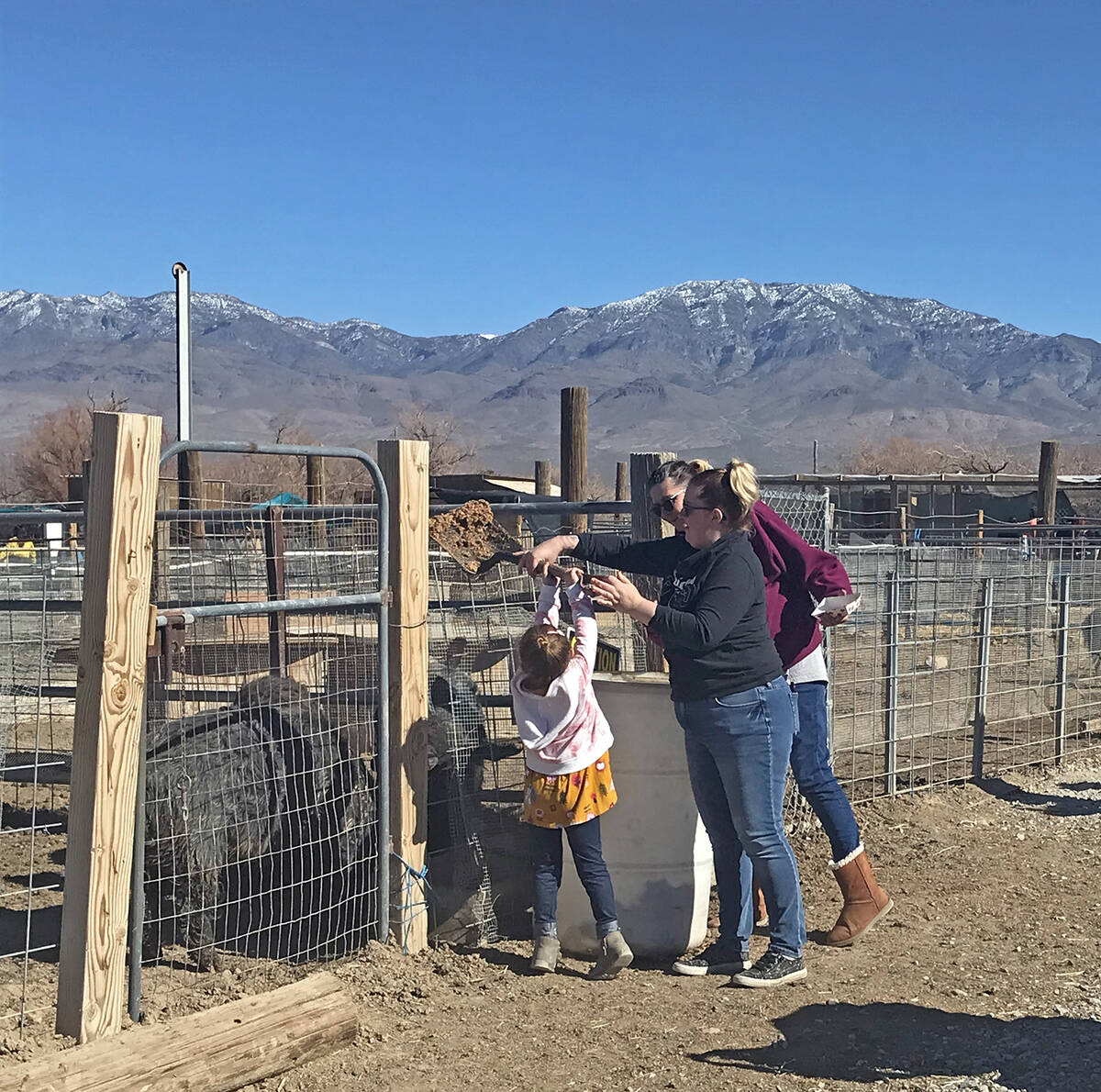 Robin Hebrock/Pahrump Valley Times A youngster is pictured assisting with shoveling additional ...