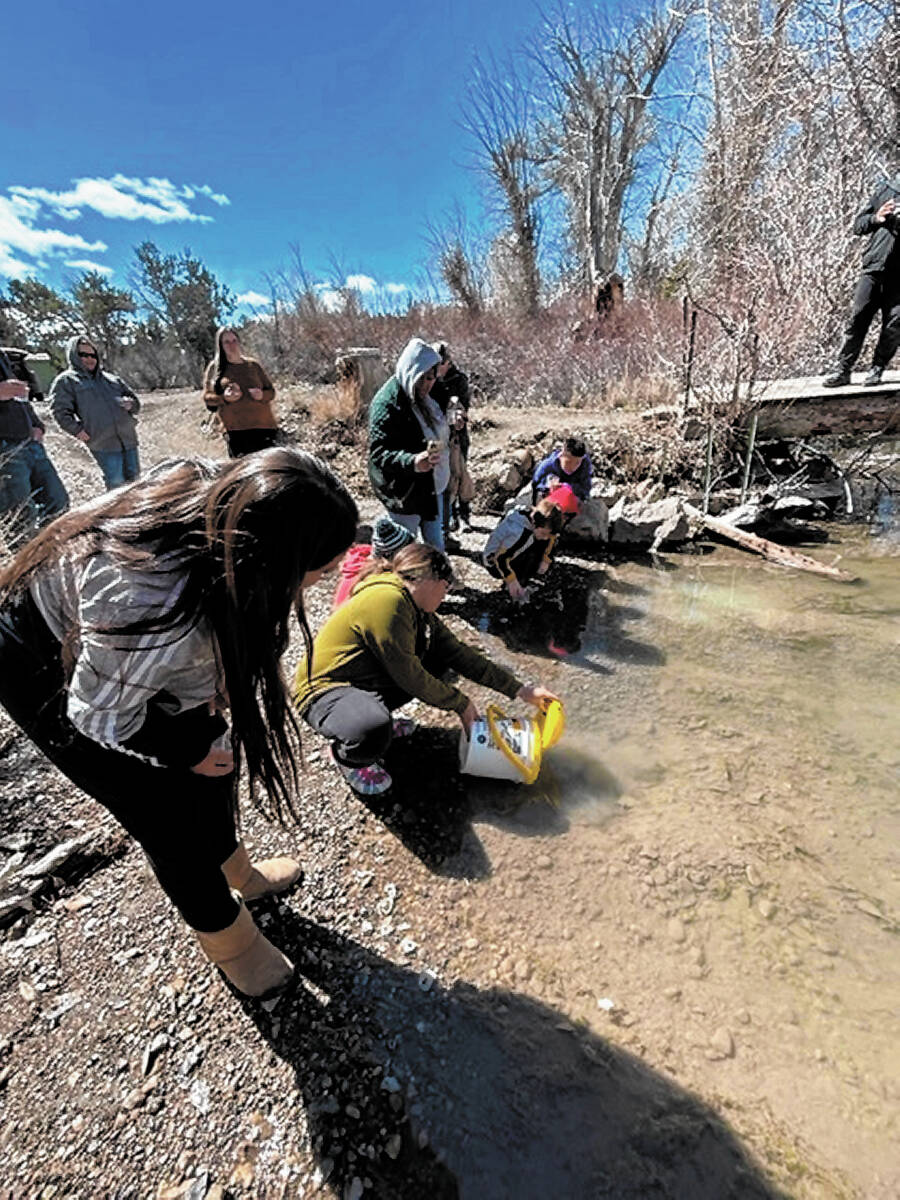 Nye County Schools Duckwater School students released trout in a stream with the gu ...
