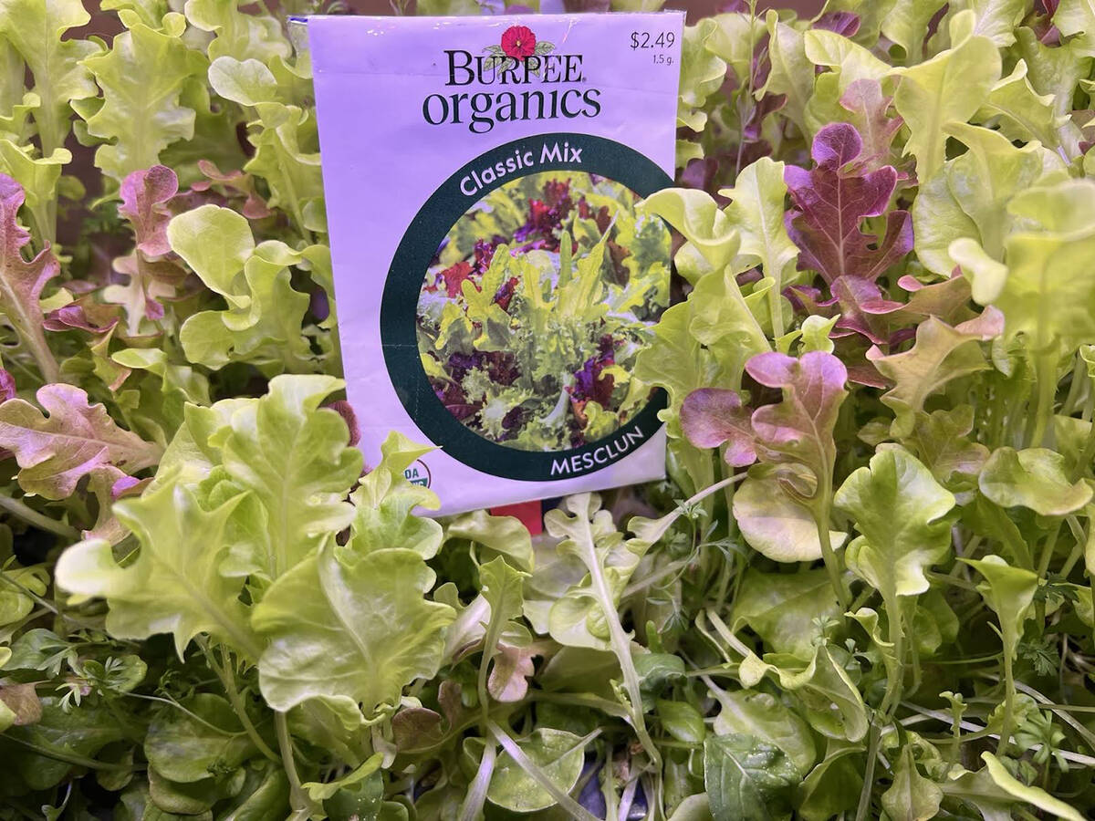 KNOW BEFORE YOU GROW Make the desert bloom with help from Pahrump’s