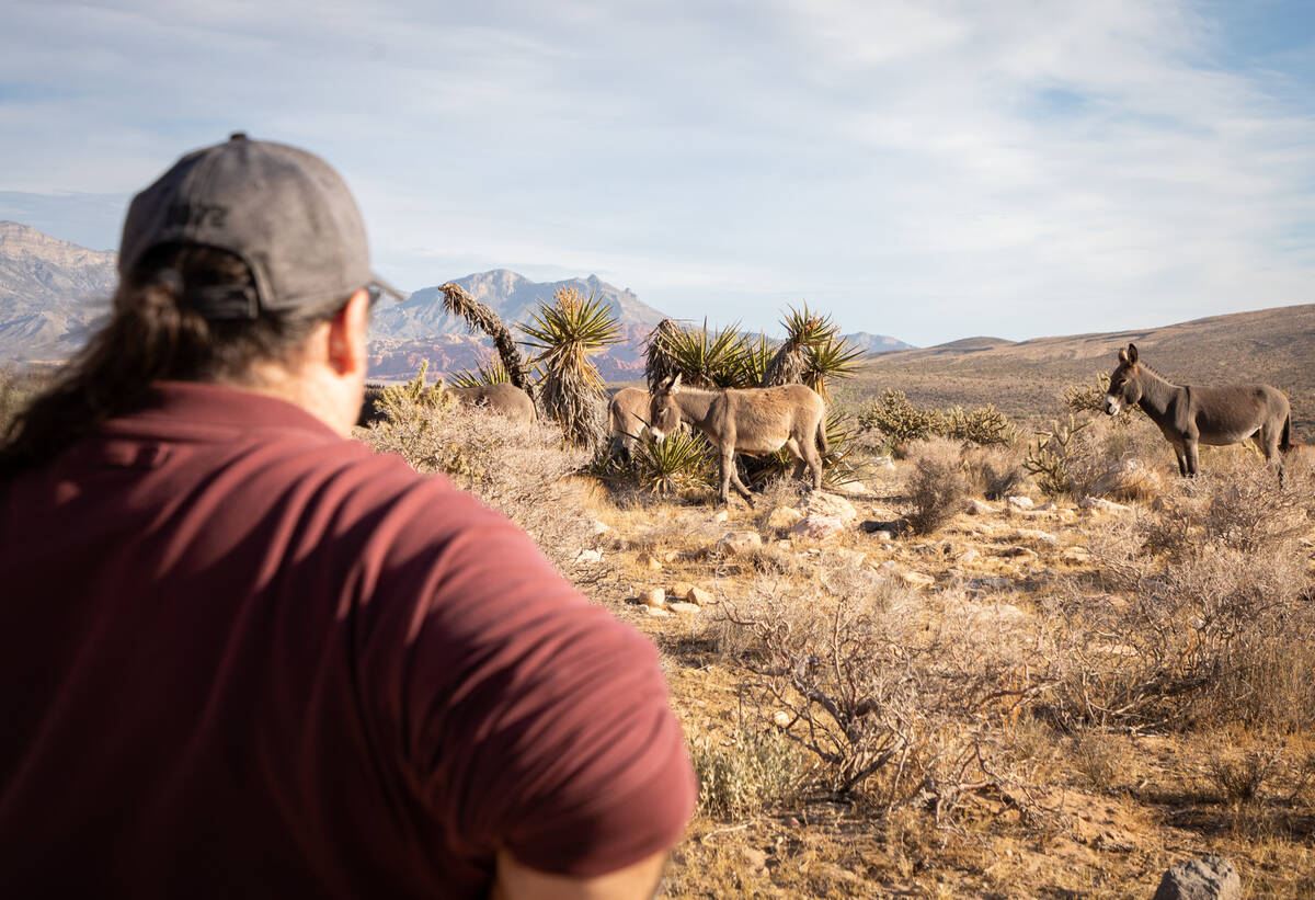 (Amaya Edwards/Las Vegas Review-Journal) Richard Cumelis, founder of Las Vegas Overweight Hiker ...