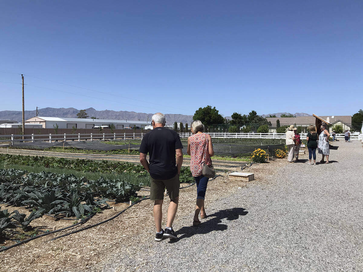 Robin Hebrock/Pahrump Valley Times Landscape Tour attendees are pictured at Green Life Produce ...