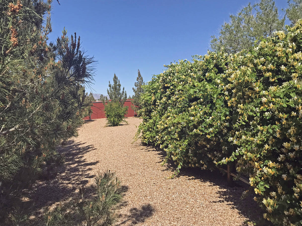 Robin Hebrock/Pahrump Valley Times One of the backyards featured in the 2023 Landscape Tour inc ...