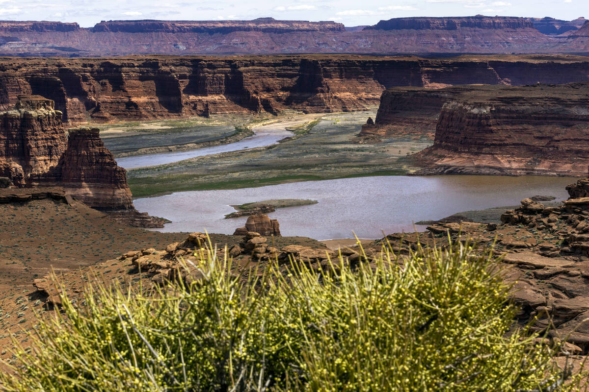 The Colorado River meanders along within the Glen Canyon National Recreation Area about the Hit ...
