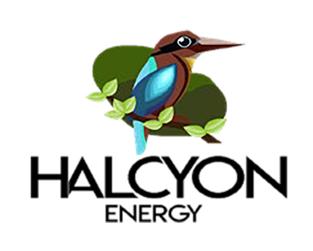 Halcyon CEO: Plan to build hydrogen plant in Nye differs from other ...