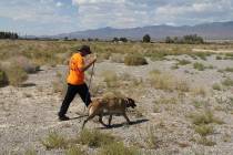 Victor Zech/Southern Nye County Search and Rescue Rescue crews comb the deserts of Pahrump in s ...