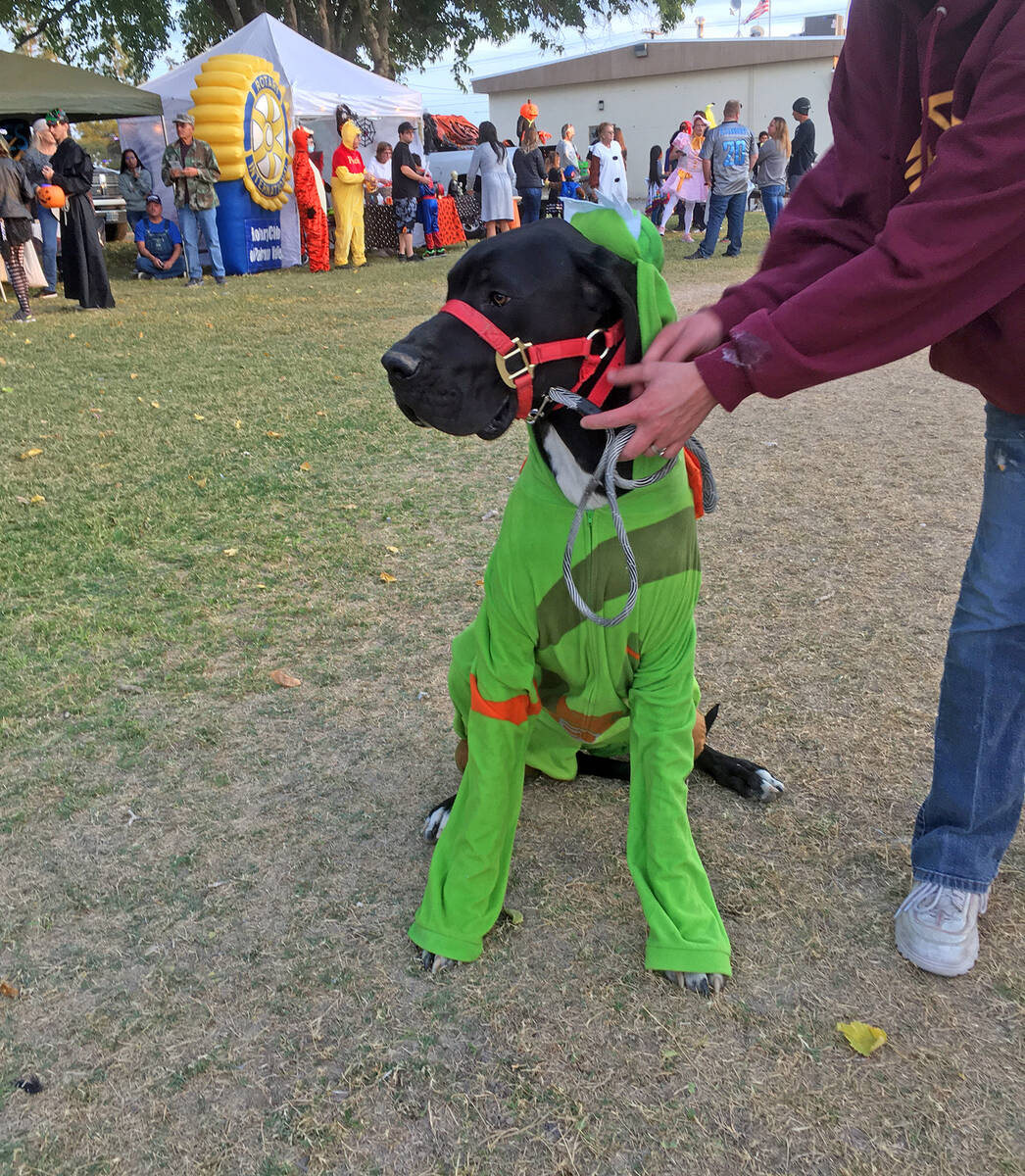 Special to the Pahrump Valley Times The best dressed pet at the Halloween Spooktacular will win ...