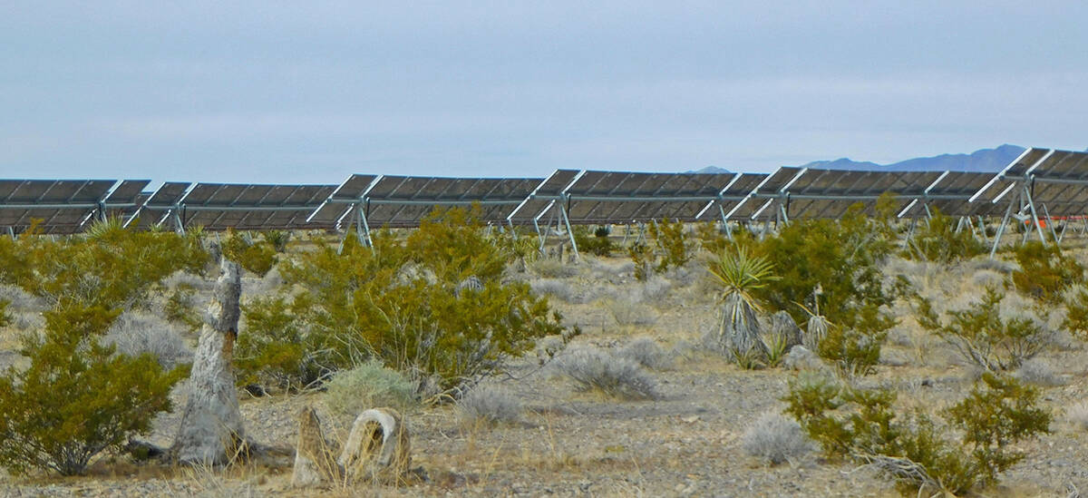 Robin Hebrock/Pahrump Valley Times The Yellow Pine Solar Project includes roughly 3,000 acres o ...