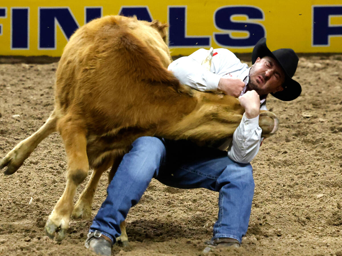 Stephen Culling wrestles a steer to the ground while he competes in steer wrestling on day six ...