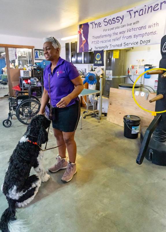 John Clausen/Pahrump Valley Times Tynia Dickson is an army veteran, certified service dog train ...