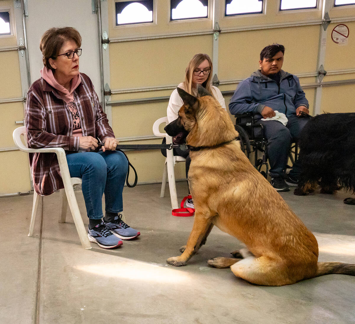 John Clausen/Pahrump Valley Times A Sassy Trainer client is pictured interacting with Zeus duri ...