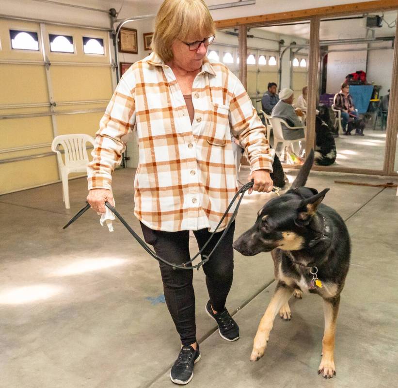 John Clausen/Pahrump Valley Times Shadow is led around the training room by a Sassy Trainer client.