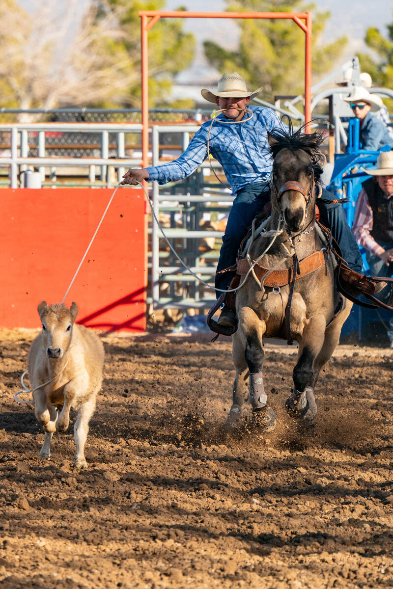 A calf is being caught by a man on horseback at the Pahrump Junior High and High School Rodeo a ...