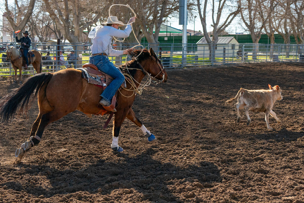 A man on horseback is chasing a calf on horseback with a rope at the Pahrump Junior High and Hi ...