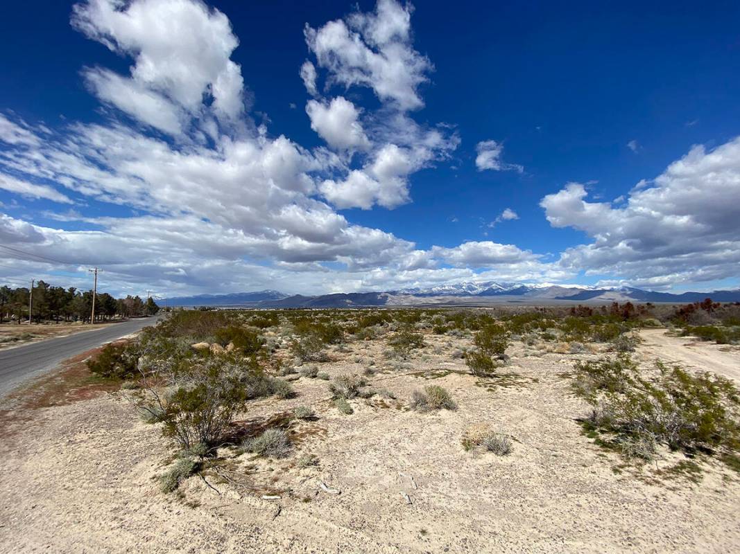 Robin Hebrock/Pahrump Valley Times Taken at the corner of Fox Avenue and Cheyenne Way, this pho ...