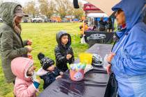 John Clausen/Pahrump Valley Times The 2024 Community Easter Picnic took place Saturday, March 3 ...