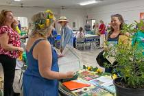 Robin Hebrock/Pahrump Valley Times The 2024 Earth-Arbor Day event took over the Bob Ruud Commun ...