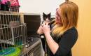 Meet the new manager for the Nye County Animal Shelter