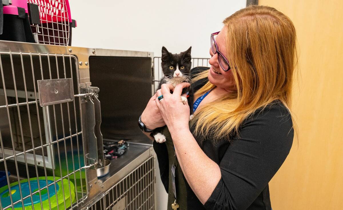 John Clausen/Special to the Pahrump Valley Times Kristi Siegmund visits with one of the younge ...