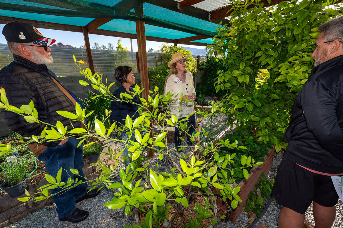 John Clausen/Pahrump Valley Times One of the Landscape Tour's sites was a home on 6501 Creb Ct.