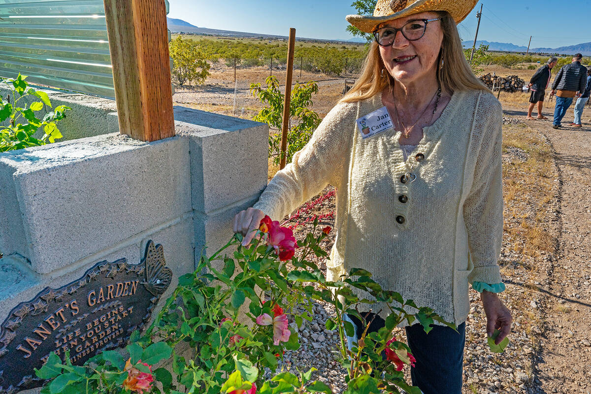John Clausen/Pahrump Valley Times Jan Carter, owner of 6501 Creb Ct. home, stands next to one o ...