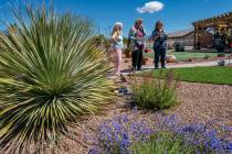 John Clausen/Pahrump Valley Times The PV Garden Club's Landscape Tour featured six sites, inclu ...