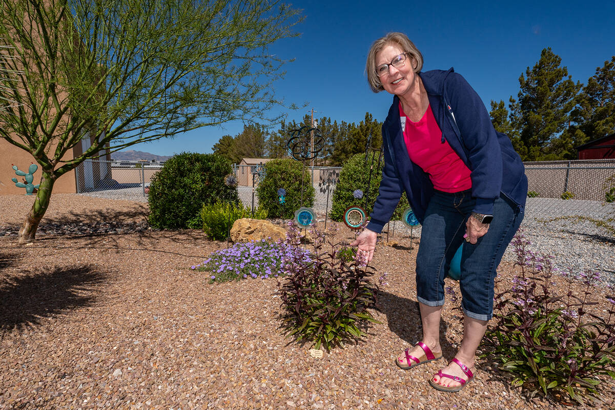 John Clausen/Pahrump Valley Times Laurie Wilson, owner of 2770 S. River Plate Dr., proudly disp ...