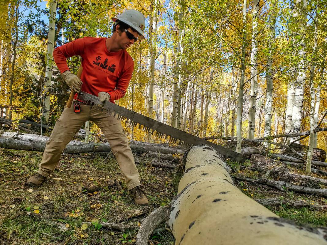 Ed Ruiz/Special to the Pahrump Valley Times All work done by Friends of Nevada Wilderness is ac ...