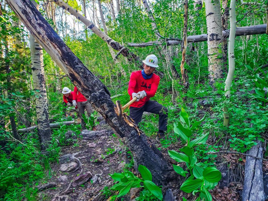 Ed Ruiz/Special to the Pahrump Valley Times Friends of Nevada Wilderness works to maintain acce ...