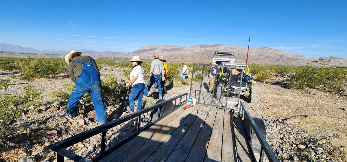 Special to the Pahrump Valley Times This photo, provided by Nye County, shows volunteers workin ...