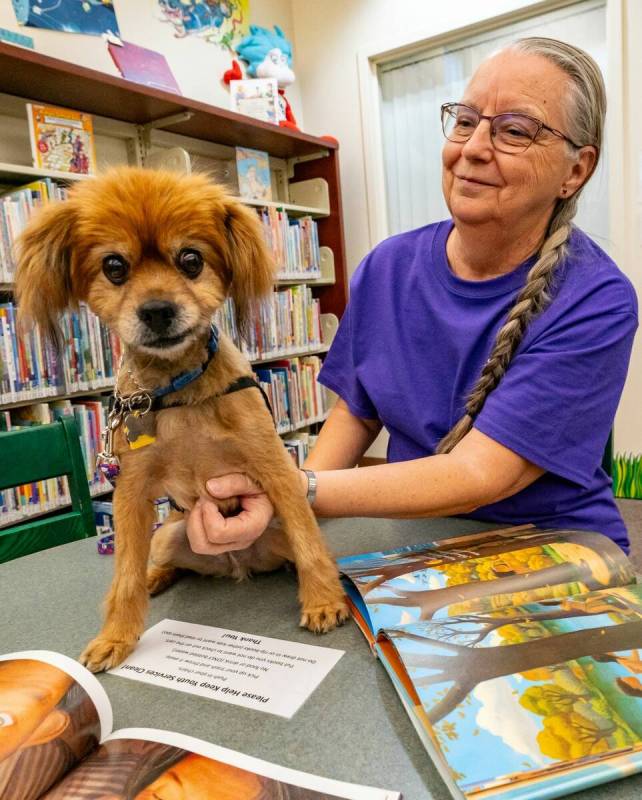 John Clausen/Pahrump Valley Times Sandy Clampit plans to bring her therapy dog Buddy to the Pah ...