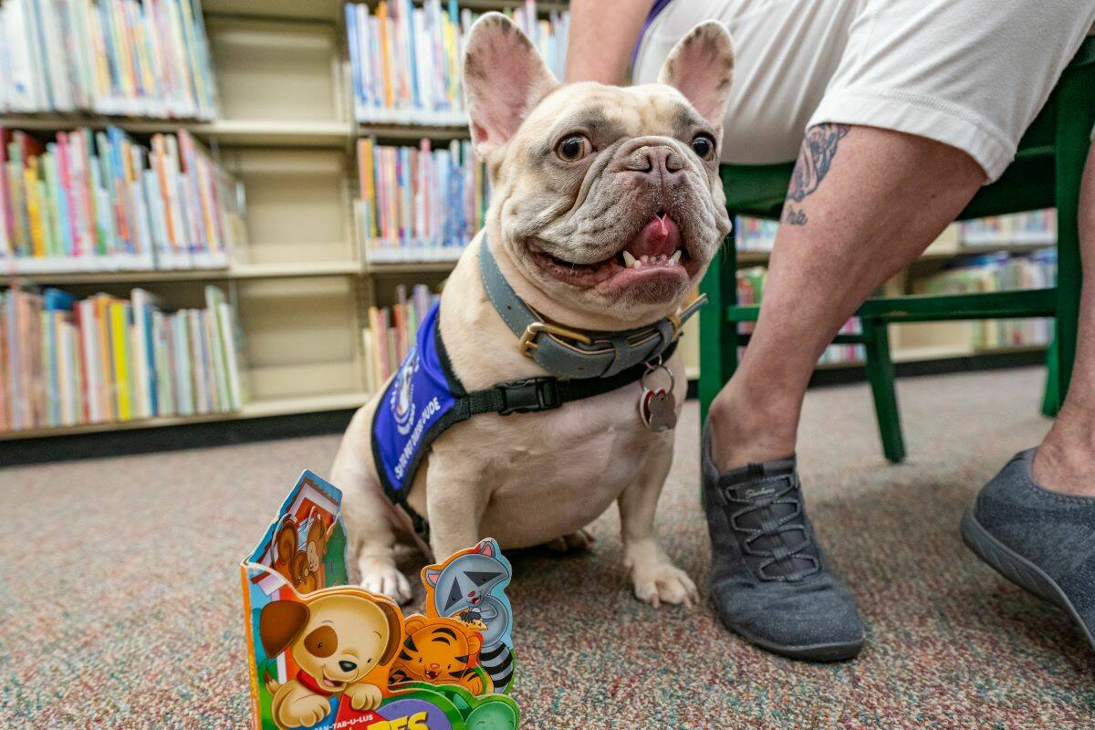 John Clausen/Pahrump Valley Times Kids can meet Diesel Dude a therapy dog, at the Pahrump Commu ...