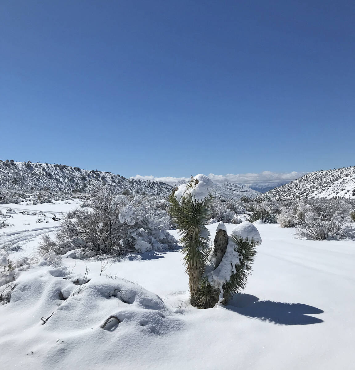 Robin Hebrock/Pahrump Valley Times Snow in the desert is a precious resource and local cloud se ...