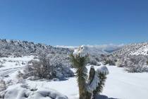 Robin Hebrock/Pahrump Valley Times Snow in the desert is a precious resource and local cloud se ...