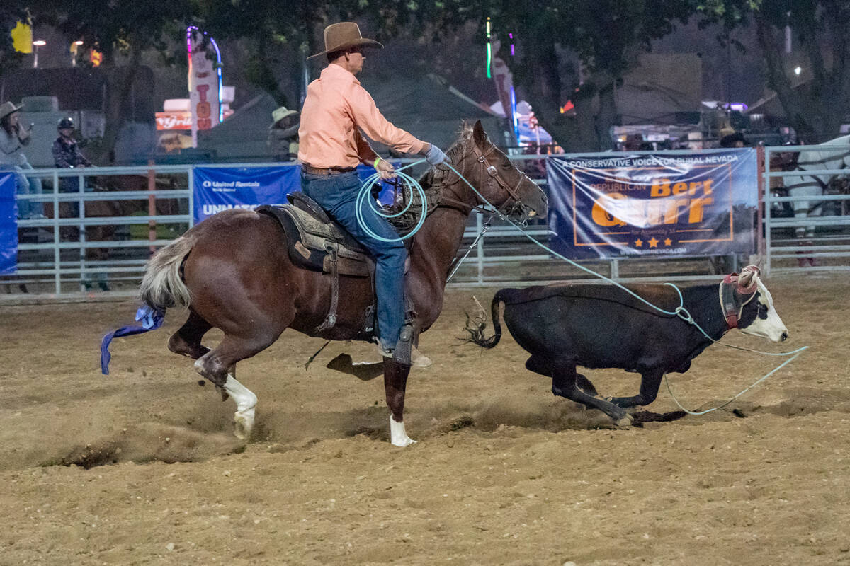 A man ropes a calf while riding on horseback at the Pahrump Fall Festival 2024 rodeo on Saturda ...