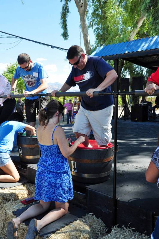 Pahrump Valley Times File Teams will go full steam ahead as they squish juice out of grapes at ...